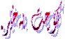   کۆچت به‌خێر.