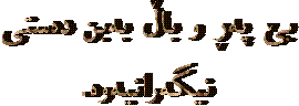   بێ په‌ڕ و باڵ به‌بن ده‌ستی 
 نیگه‌رانیه‌وه.‌