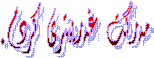 مه‌رگت غه‌ریبتری کردم. 